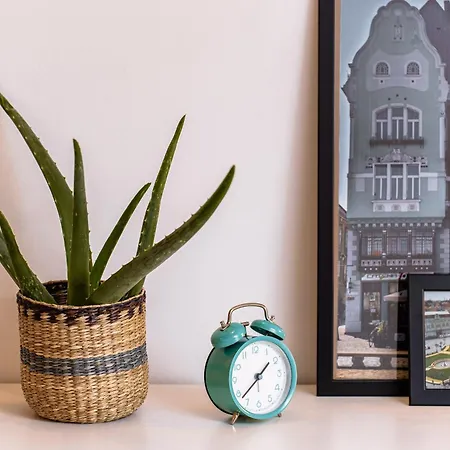 Pet Friendly - Savoya Nordic Loft - By Openhouse * Timisoara