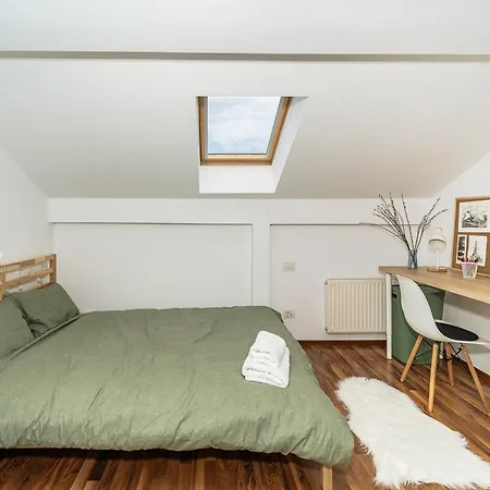 Pet Friendly - Savoya Nordic Loft - By Openhouse * Timişoara