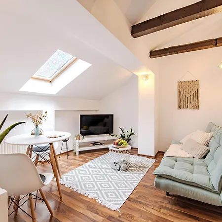 Pet Friendly - Savoya Nordic Loft - By Openhouse Timisoara