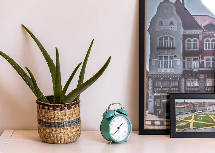 Pet Friendly - Savoya Nordic Loft - By Openhouse * Тимишоара