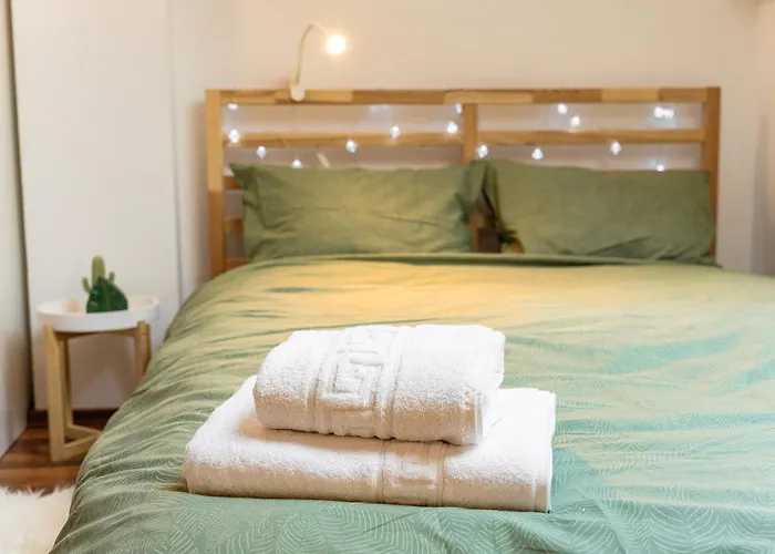 Pet Friendly - Savoya Nordic Loft - By Openhouse Апартаменты Тимишоара