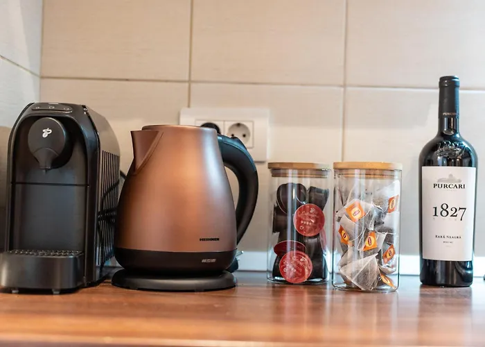 Pet Friendly - Savoya Nordic Loft - By Openhouse * Timişoara